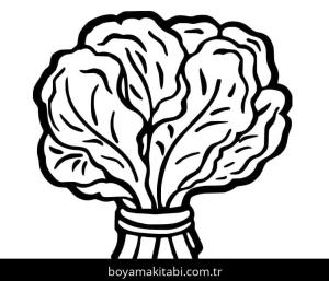 Ispanak boyama sayfası – renkli çizimler, okul öncesi