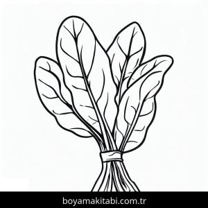 Ispanak boyama sayfası – çizgi film temalı, basit çizim