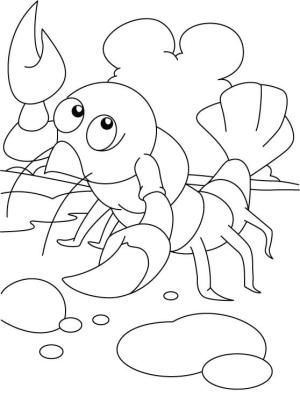 Istakoz boyama sayfası,  coloring page, Egzersiz ıstakoz, 