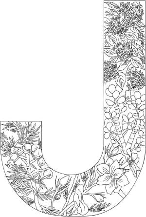 J Harfi boyama sayfası,  coloring page, J Harfi Ağacı, 