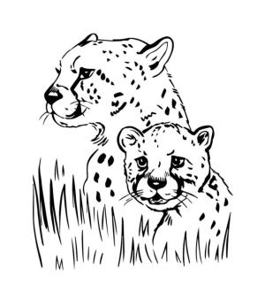 Jaguar boyama sayfası, Jaguars coloring page, Jaguar’ın İki Portresi, 