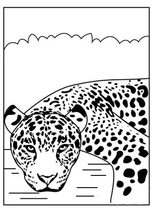 Jaguar boyama sayfası, Jaguars coloring page, Temel Jaguar Yüzü, 