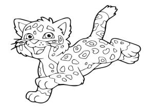 Jaguar boyama sayfası, Jaguars coloring page, Eğlenceli Jaguar, 