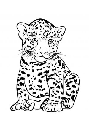 Jaguar boyama sayfası, Jaguars coloring page, Bebek Jaguar Oturma, 