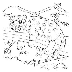 Jaguar boyama sayfası, Jaguars coloring page, Dal Ağacı üzerinde Yatan Jaguar, 