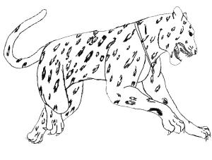 Jaguar boyama sayfası, Jaguars coloring page, Normal Jaguar, 