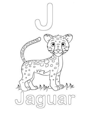 Jaguar boyama sayfası, Jaguars coloring page, J harfi ve Jaguar, 