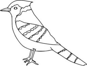 Jay Kuş boyama sayfası,  coloring page, Müthiş Jay Kuşu, 