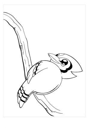 Jay Kuş boyama sayfası,  coloring page, Küçük Jay Kuşu, 