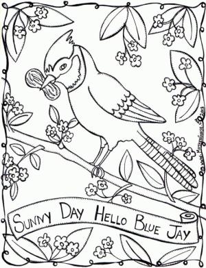 Jay Kuş boyama sayfası,  coloring page, Güzel Jay Kuşu, 