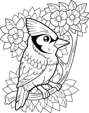 Jay Kuş boyama sayfası,  coloring page, Çiçek ile Jay Kuş, 