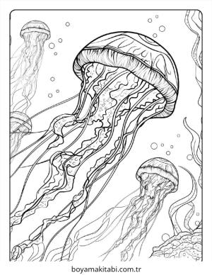 Jellyfish boyama sayfası – çocuklar için, çizgi film temalı