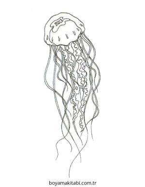 Jellyfish boyama sayfası – çocuk aktivitesi, PDF indir