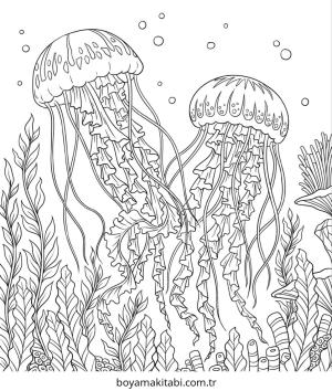 Jellyfish boyama sayfası – renkli çizimler, okul öncesi