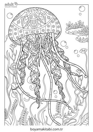 Jellyfish boyama sayfası – boyama çalışması, yaratıcılığı geliştirir