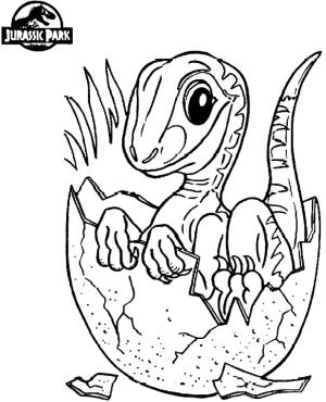 Jura Dünyası boyama sayfası,  coloring page, Bebé Dinosaurio en el Mundo Jurásico, 