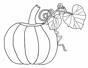 Kabak boyama sayfası,  coloring page, Yapraklı Kabak, 