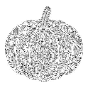 Kabak boyama sayfası,  coloring page, Kabak Sert, 