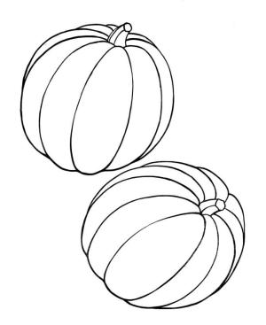 Kabak boyama sayfası,  coloring page, Iki Kabak, 