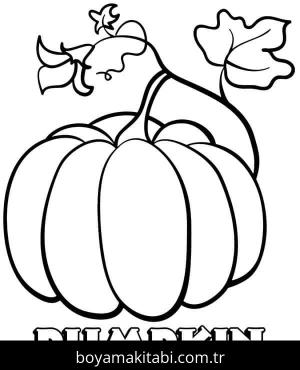Kabak boyama sayfası – basit çizim, kolay boyama