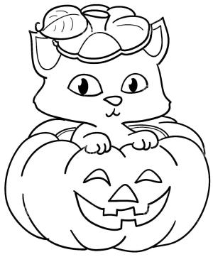 Kabak boyama sayfası,  coloring page, Kabak içinde Kedi, 