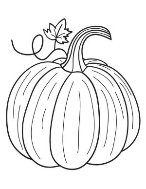 Kabak boyama sayfası,  coloring page, Büyük kabak, 