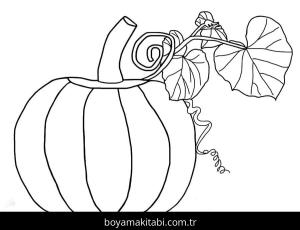 Kabak boyama sayfası – keyifli zaman, renkli çizimler