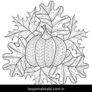 Kabak boyama sayfası – renkli çizimler, okul öncesi
