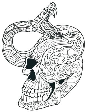 Kafatası boyama sayfası,  coloring page, Kafatası Ve Yılan, 