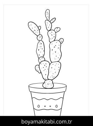 Kaktüs Boyama