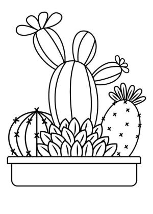 Kaktüs boyama sayfası,  coloring page, Temel Kaktüs, 