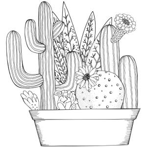 Kaktüs boyama sayfası,  coloring page, El çizmek Kaktüs, 