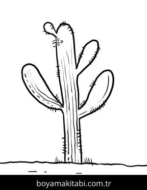 Kaktüs Boyama