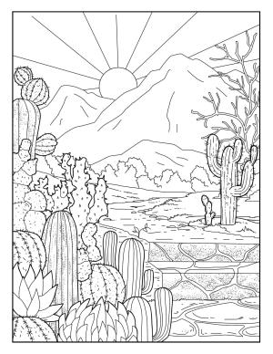 Kaktüs boyama sayfası,  coloring page, Kaktüs Bahçesi, 