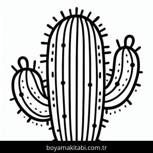 Kaktüs boyama sayfası – renkli çizimler, okul öncesi