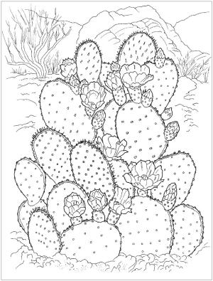 Kaktüs boyama sayfası,  coloring page, Kaktüs Ücretsiz Fikir, 