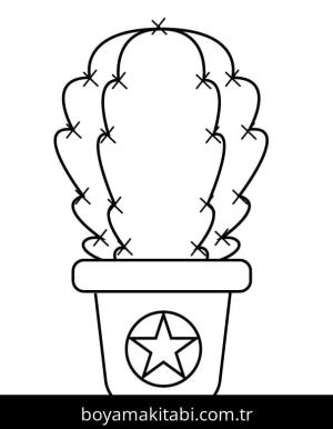 Kaktüs Boyama