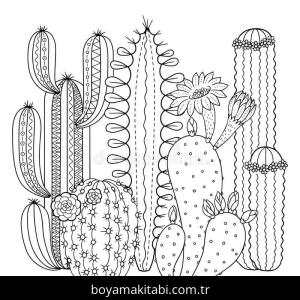 Kaktüs boyama sayfası – renkli çizimler, okul öncesi