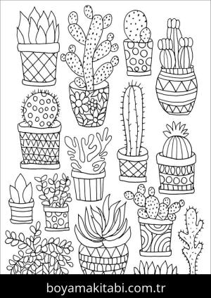 Kaktüs Boyama