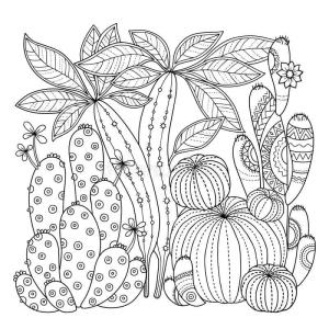 Kaktüs boyama sayfası,  coloring page, Yapraklı kaktüs, 