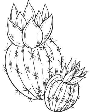 Kaktüs boyama sayfası,  coloring page, Nicekaktüs, 