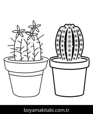 Kaktüs Boyama
