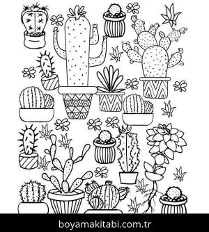 Kaktüs Boyama