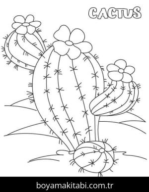 Kaktüs boyama sayfası – eğitici aktivite, yaratıcılık