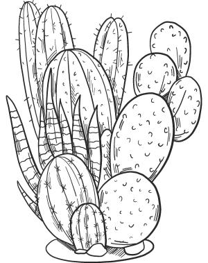 Kaktüs boyama sayfası,  coloring page, Inanılmaz Kaktüs, 