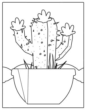 Kaktüs boyama sayfası,  coloring page, Yazdırılabilir Kaktüs, 