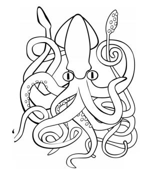 Kalamar boyama sayfası,  coloring page, Dev Mürekkepbalığı, 