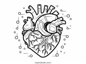 Kalp boyama sayfası – boyama etkinliği, çocuk aktivitesi