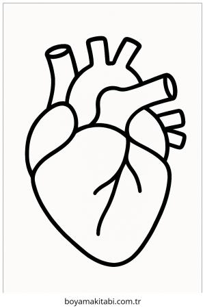 Kalp boyama sayfası – eğitici aktivite, yaratıcılık