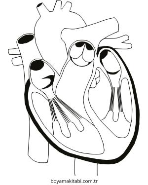 Kalp boyama sayfası – okul öncesi, evde etkinlik